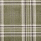 Kelso Check Sage Green